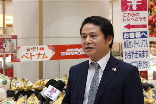经济外交:越南商品进军日本市场后将会获得走向世界的“通行证” ảnh 2 经济外交:越南商品进军日本市场后将会获得走向世界的“通行证” ảnh 2