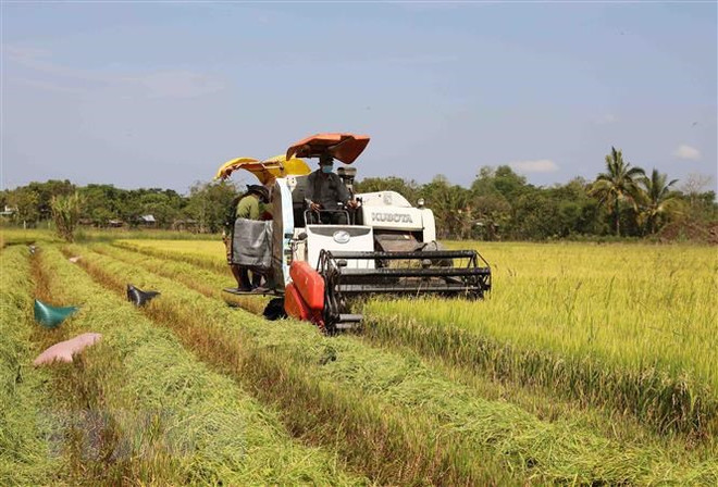 马来西亚专家：加强食品领域合作 促进越南与马来西亚贸易往来 ảnh 1