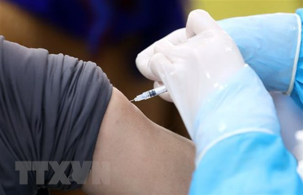 11月25日越南新增新冠肺炎确诊病例574例 ảnh 1 11月25日越南新增新冠肺炎确诊病例574例 ảnh 1