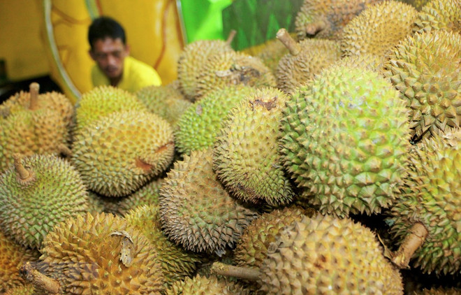 越南大力推进出口农产品标准化建设 ảnh 1 越南大力推进出口农产品标准化建设 ảnh 1