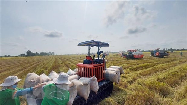 2023年第一季度安江省贸易顺差达2.37亿美元 ảnh 1 2023年第一季度安江省贸易顺差达2.37亿美元 ảnh 1