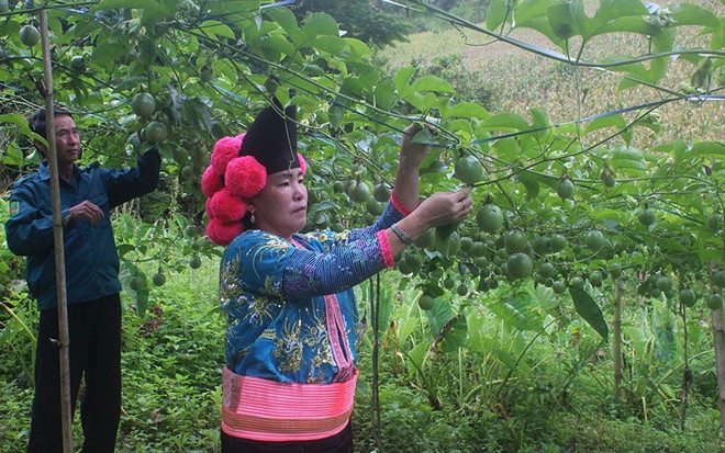 山罗省力争成为西北地区的经济中心 ảnh 1 山罗省力争成为西北地区的经济中心 ảnh 1