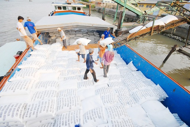 今年第一季度越南大米出口额大幅增长 ảnh 1 今年第一季度越南大米出口额大幅增长 ảnh 1