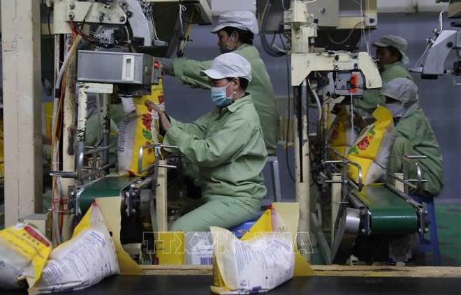 越南大米出口形势喜人 产量质量得到双提升 ảnh 1 越南大米出口形势喜人 产量质量得到双提升 ảnh 1