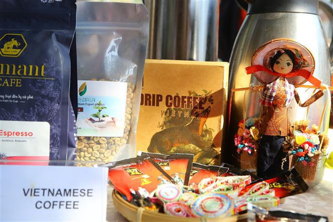 越南参加在南非举行的东盟国家体育与家庭日活动 ảnh 1