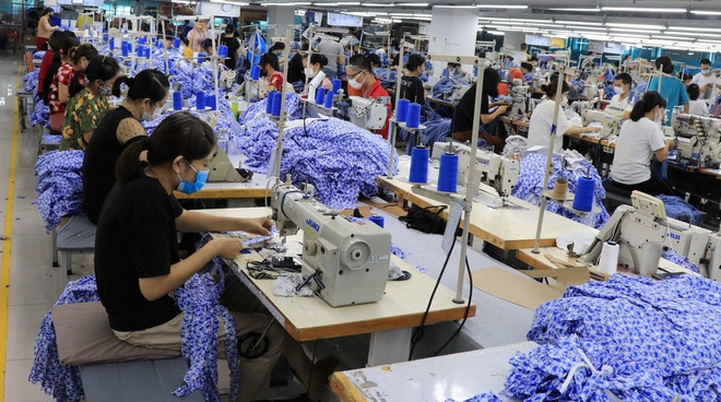 高效落实新冠疫情下扶持政策 做好社会保障工作 ảnh 1 高效落实新冠疫情下扶持政策 做好社会保障工作 ảnh 1