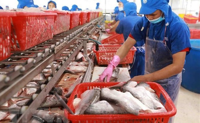 越南促进与欧盟的农业合作关系 ảnh 1 越南促进与欧盟的农业合作关系 ảnh 1