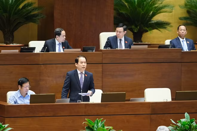 完善基层民主法律 ảnh 1
