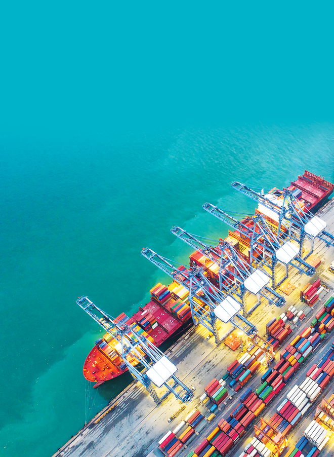 越南被列为世界上经济增长最快国家之一 ảnh 1