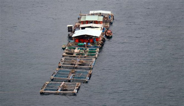 坚江省加强渔业基础设施建设 ảnh 2 坚江省加强渔业基础设施建设 ảnh 2