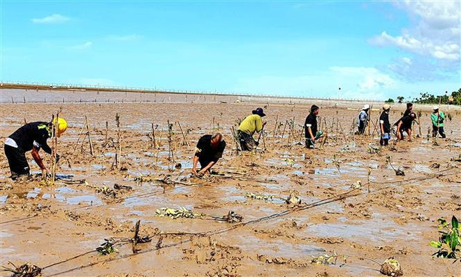 由奥地利资助以提高朔庄省气候变化适应能力的项目正式启动 ảnh 1 由奥地利资助以提高朔庄省气候变化适应能力的项目正式启动 ảnh 1