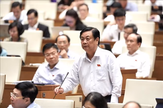 越南第十五届国会第三次会议:专题询问活动围绕农业、金融、银行、交通运输等四大问题 ảnh 2 越南第十五届国会第三次会议:专题询问活动围绕农业、金融、银行、交通运输等四大问题 ảnh 2