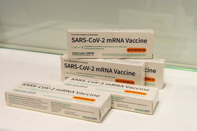 印度尼西亚成为第一个批准使用中国研发的mRNA新冠疫苗的国家 ảnh 1 印度尼西亚成为第一个批准使用中国研发的mRNA新冠疫苗的国家 ảnh 1