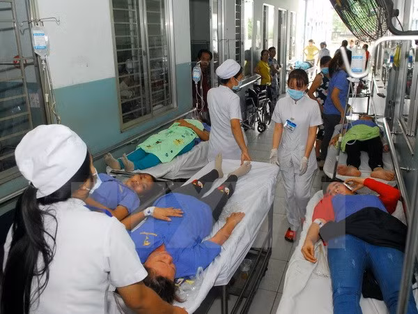 越南林同省卫生厅领导就41名旅客疑似食物中毒事件做出正式回应 ảnh 1