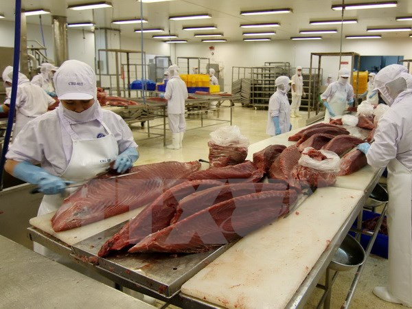 今年前5个月越南水产出口累计达28亿美元 ảnh 2