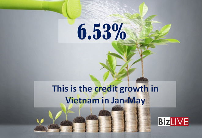 越南银行业贷款增长6.53% ảnh 1 越南银行业贷款增长6.53% ảnh 1