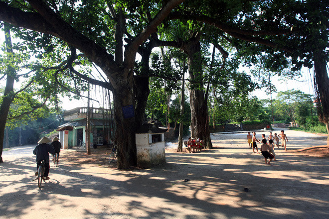 越南乡村生活空间的组织结构 ảnh 1 越南乡村生活空间的组织结构 ảnh 1