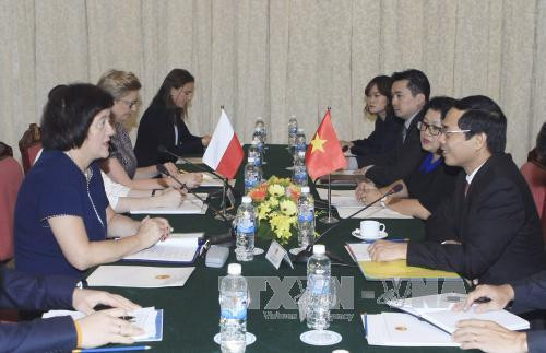 越波政治磋商在越南举行 ảnh 1 越波政治磋商在越南举行 ảnh 1