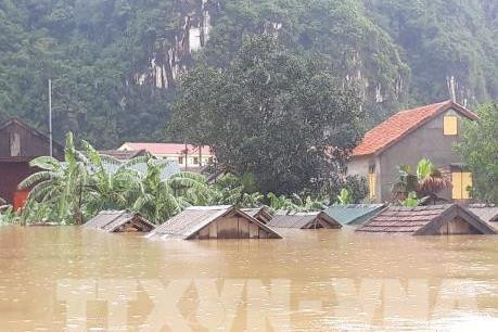 广平省：洪水造成经济损失超过4110亿越盾 ảnh 1