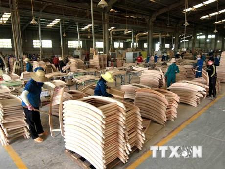 保证林产品原产地高透明度和可追溯性 ảnh 2 保证林产品原产地高透明度和可追溯性 ảnh 2