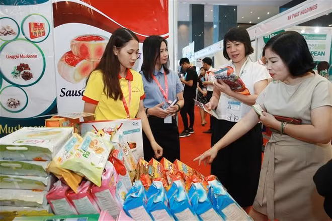 2019年中东与非洲各国驻越大使见面会为推动双方合作关系注入动力 ảnh 2