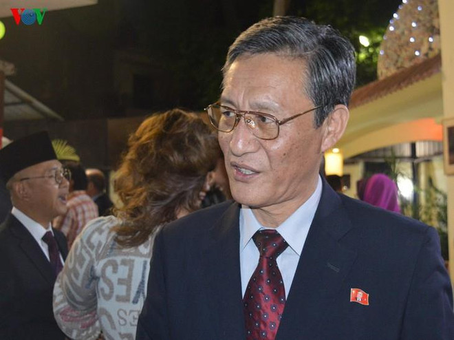 越南在建设和平过程中发挥积极作用 ảnh 1