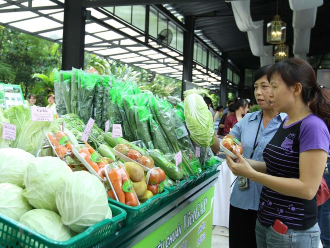 2019年8月份越南蔬果出口额达2.46亿美元 ảnh 1