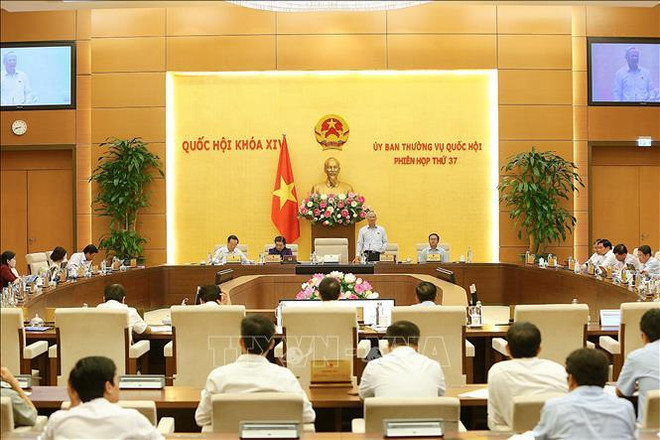 越通社简讯2019.9.13 ảnh 1