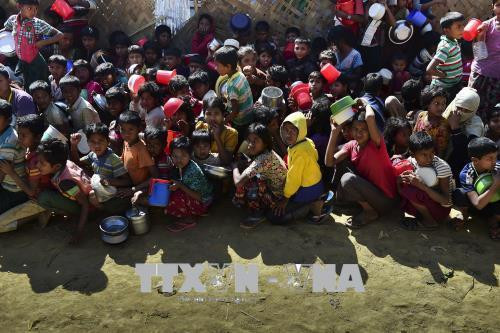 60万名罗兴亚穆斯林仍然面临严重的暴力风险 ảnh 1 60万名罗兴亚穆斯林仍然面临严重的暴力风险 ảnh 1