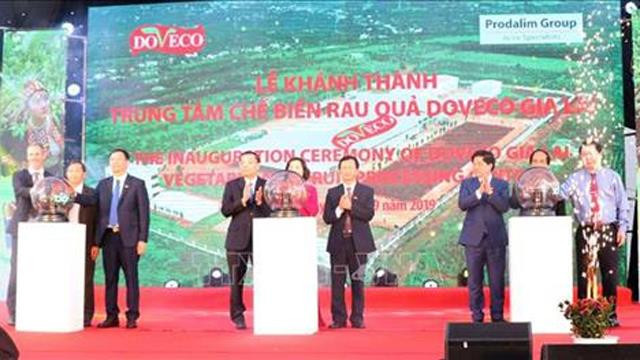越南西原地区最大蔬菜加工厂正式投入运行 ảnh 1 越南西原地区最大蔬菜加工厂正式投入运行 ảnh 1