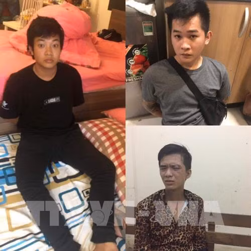 胡志明市：查获一起从柬埔寨销往越南胡志明市的毒品案件 ảnh 1