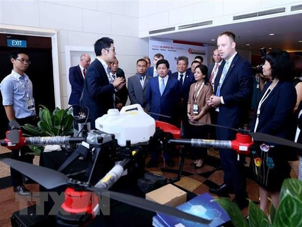 越南努力加大对欧盟市场农产品的出口力度 ảnh 1 越南努力加大对欧盟市场农产品的出口力度 ảnh 1