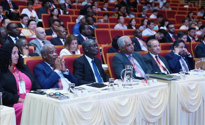 中东非洲国家驻越大使对与越南的经济合作前景充满信心 ảnh 1