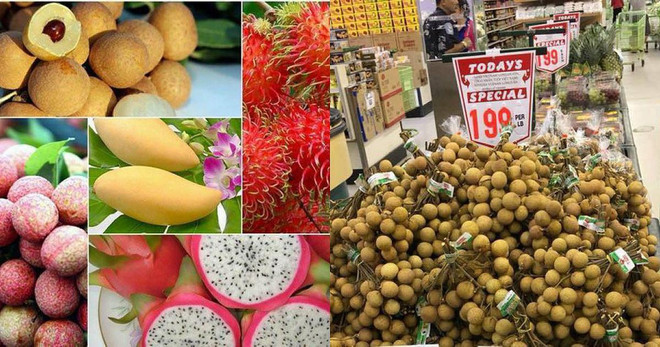 越南成功对外出口6种新鲜水果 ảnh 1