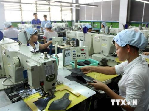 履行社会责任促进企业可持续发展 ảnh 1