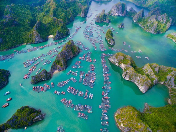 越南下龙湾跻身世界25个最美目的地 ảnh 2 越南下龙湾跻身世界25个最美目的地 ảnh 2