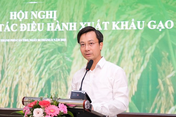 越南大米出口:抓住时机 保持粮食安全 ảnh 2 越南大米出口:抓住时机 保持粮食安全 ảnh 2