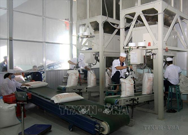 2022年越南农林水产品出口额预计达创纪录的550亿美元 ảnh 2