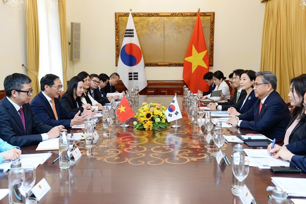 越南外长裴青山与韩国外长朴振举行会谈 ảnh 2 越南外长裴青山与韩国外长朴振举行会谈 ảnh 2