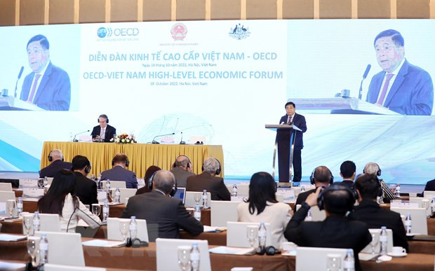 加强与越南的承诺是OECD的首要优先事项之一 ảnh 2 加强与越南的承诺是OECD的首要优先事项之一 ảnh 2