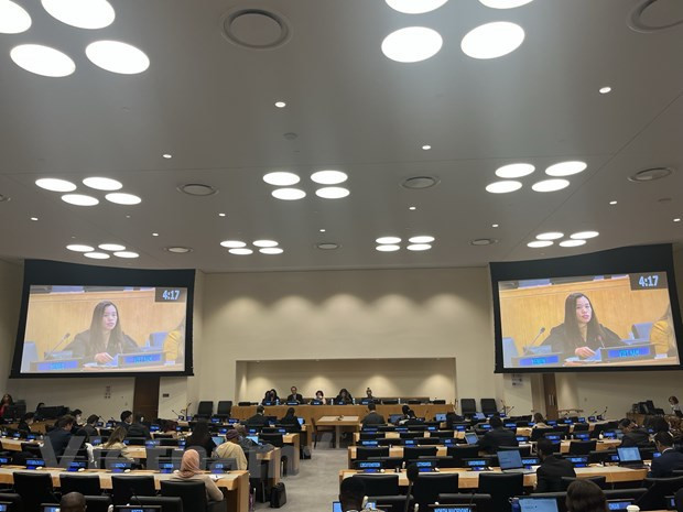 越南呼吁为联合国的各项发展活动提供资金保障 ảnh 1