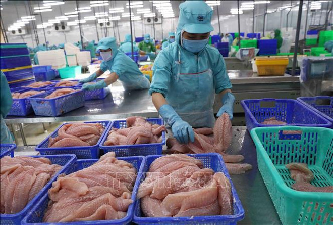 2022年越南农林水产品出口额预计达创纪录的550亿美元 ảnh 1