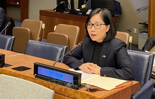 越南高度评价联合国非殖民化进程的重要性 ảnh 1 越南高度评价联合国非殖民化进程的重要性 ảnh 1