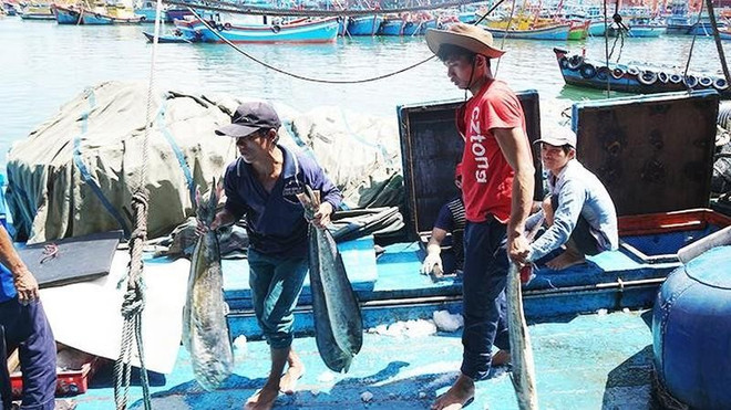 多项宏观指标平稳向好 ảnh 2 多项宏观指标平稳向好 ảnh 2