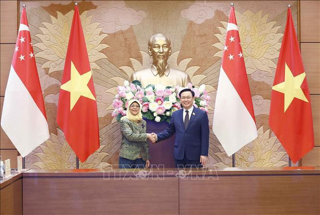 越南国会主席王廷惠会见新加坡总统雅各布 ảnh 1 越南国会主席王廷惠会见新加坡总统雅各布 ảnh 1