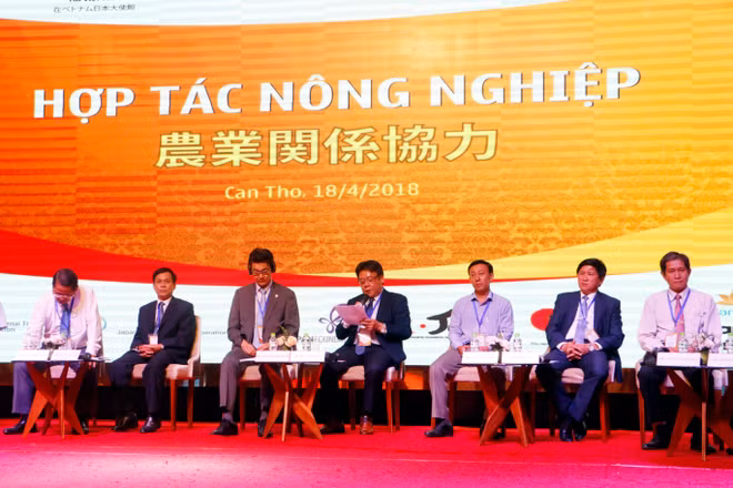 促进九龙江三角洲各地方与日本伙伴的投资合作 ảnh 3