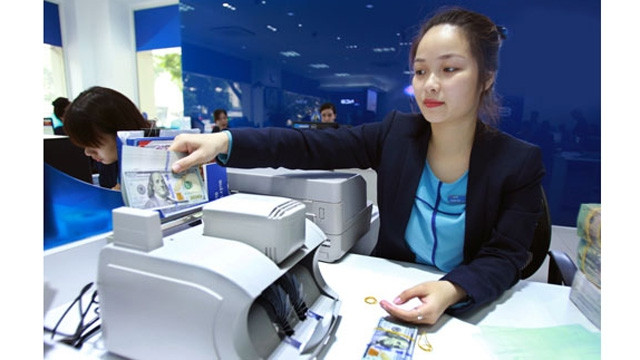 越南继续保持汇率稳定 ảnh 1