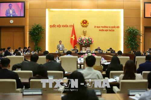 认真核查特别经济行政单位的优惠政策 ảnh 1 认真核查特别经济行政单位的优惠政策 ảnh 1