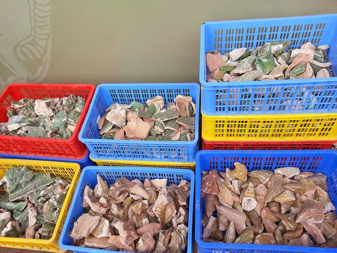 越南考古专家在升龙皇城敬天殿正殿发现宝贵线索 ảnh 2 越南考古专家在升龙皇城敬天殿正殿发现宝贵线索 ảnh 2