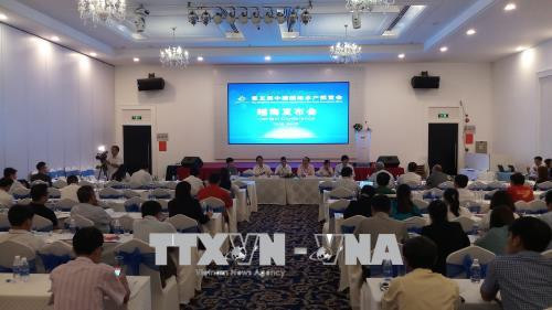 越南加大对中国市场的水产品出口力度 ảnh 1 越南加大对中国市场的水产品出口力度 ảnh 1